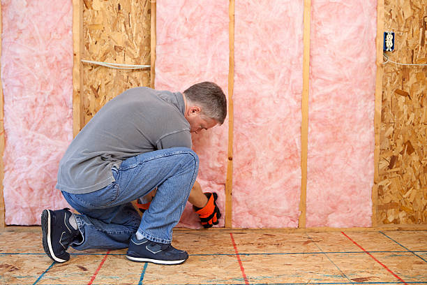 Best Residential Insulation Services  in USA